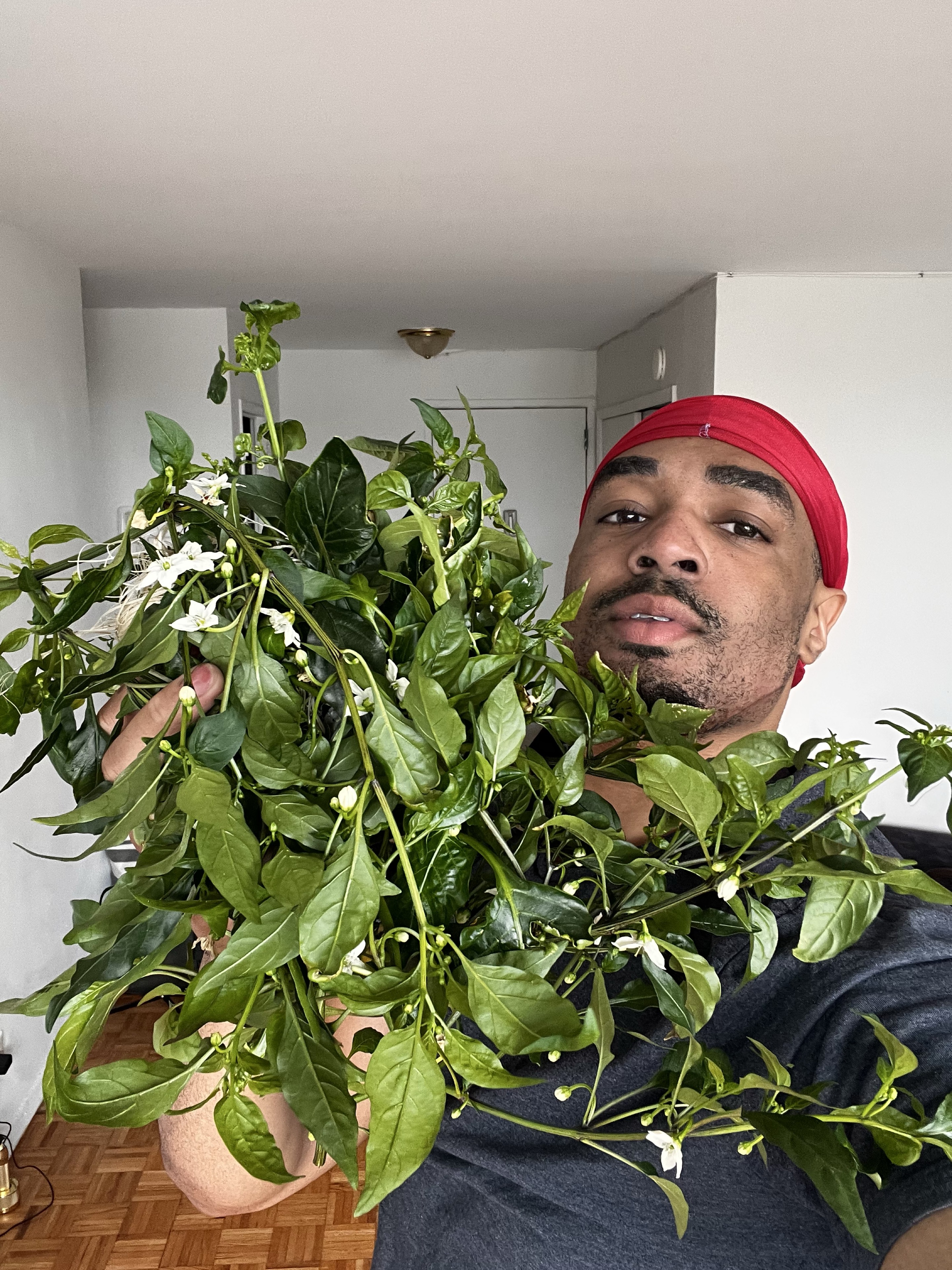 DeMarcus holding a fresh harvest from his home hydroponic garden